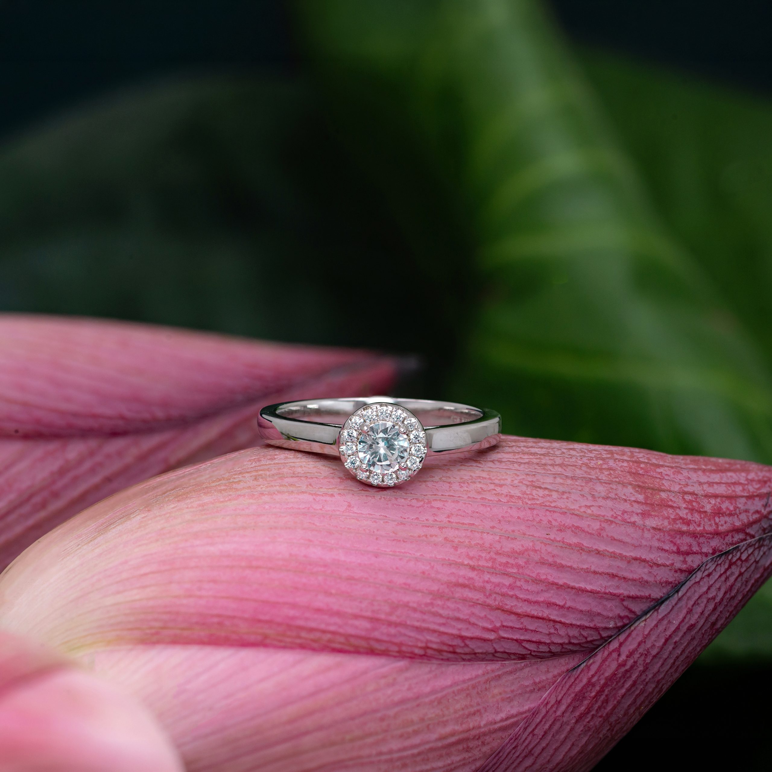 Ring 1 avurudu