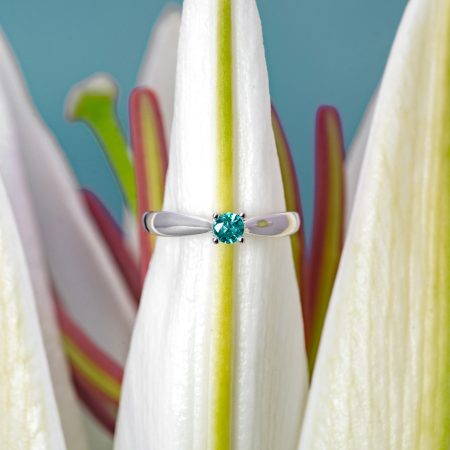 Macro of a silver ring with a turquoise gemstone on a white flower stem, with a blurred blue-green background.