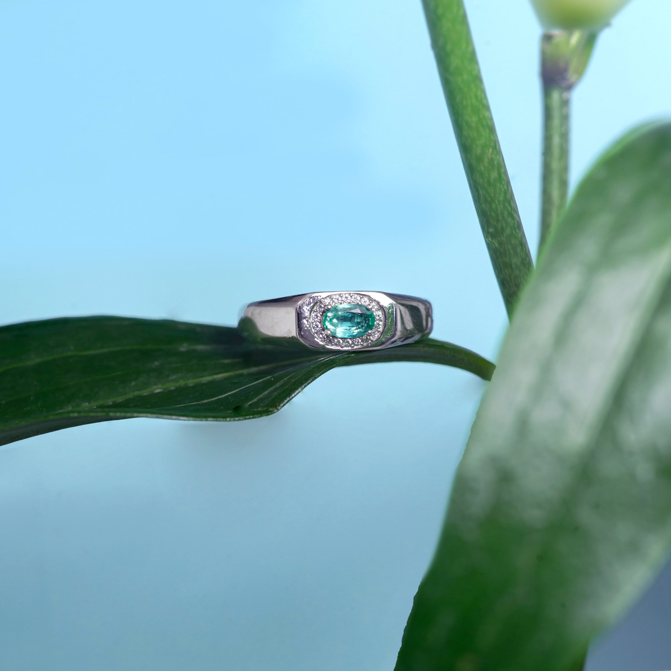 _NZR9742 Silver ring with a green gemstone and small diamonds rests on a green leaf with a bright blue sky in the background (outdoors).