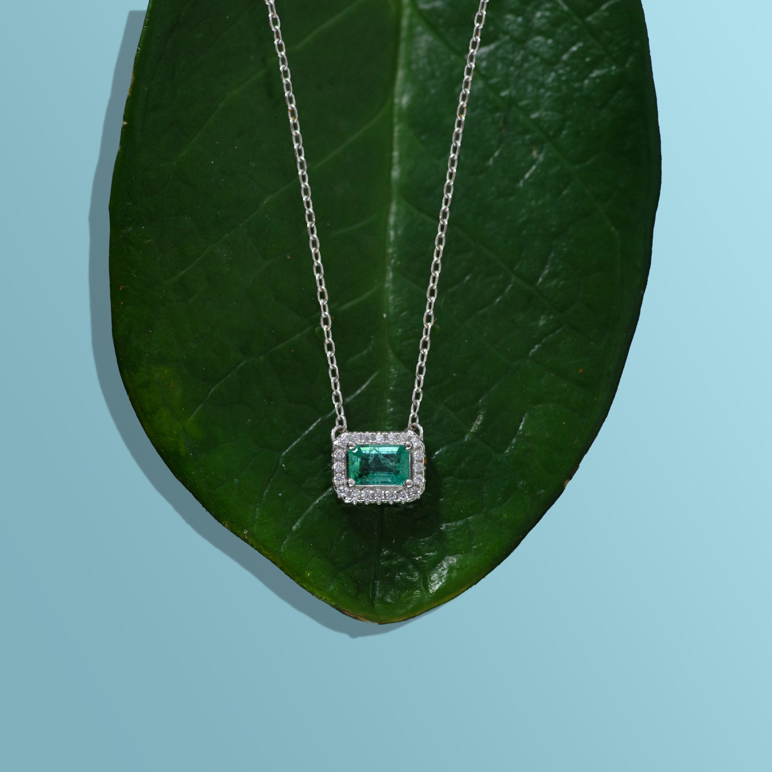 _NZR9862 Silver chain necklace with an emerald-cut emerald pendant laid on a dark green leaf against a light blue backdrop